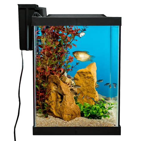 20 gallon fish tank|Tetra Aquarium, 20 Gallon, Complete Tropical Fish Tank Kit With .